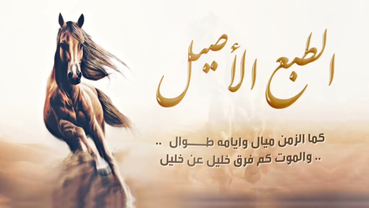 اقوى زامل نصايح تراث يمني || العقل مكسب والرجوله راس مال|| الطبع الأصيل || فريد العليي ||حصريا 2023