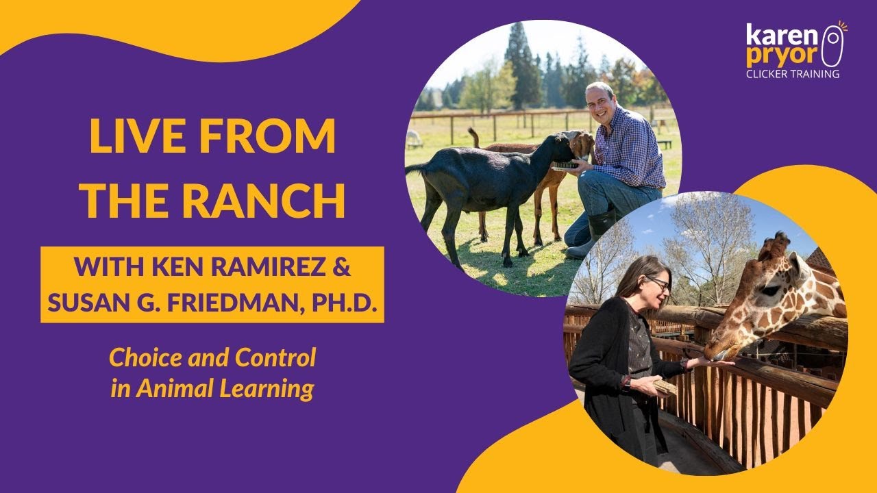 Choice and Control in Animal Learning • Susan G. Friedman, Ph.D. & Ken Ramirez
