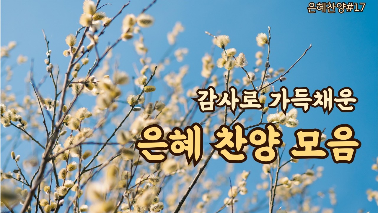 감사와 은혜로 드리는 찬양 라이브 | 마음이 평안해지는 묵상 찬양