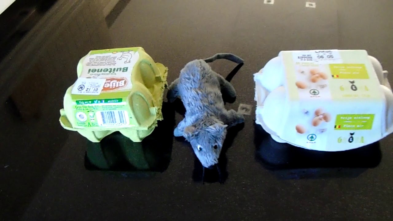 Ruimtelijke begrippen oefenen met Tip