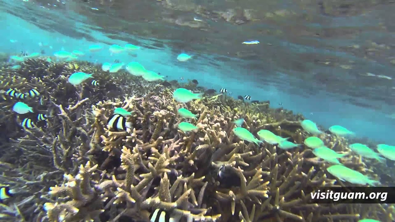 Exploring Guam&rsquo;s Adventurous Landscape