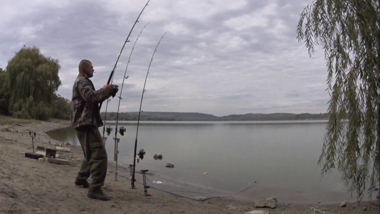 Harcsa kap&aacute;sok