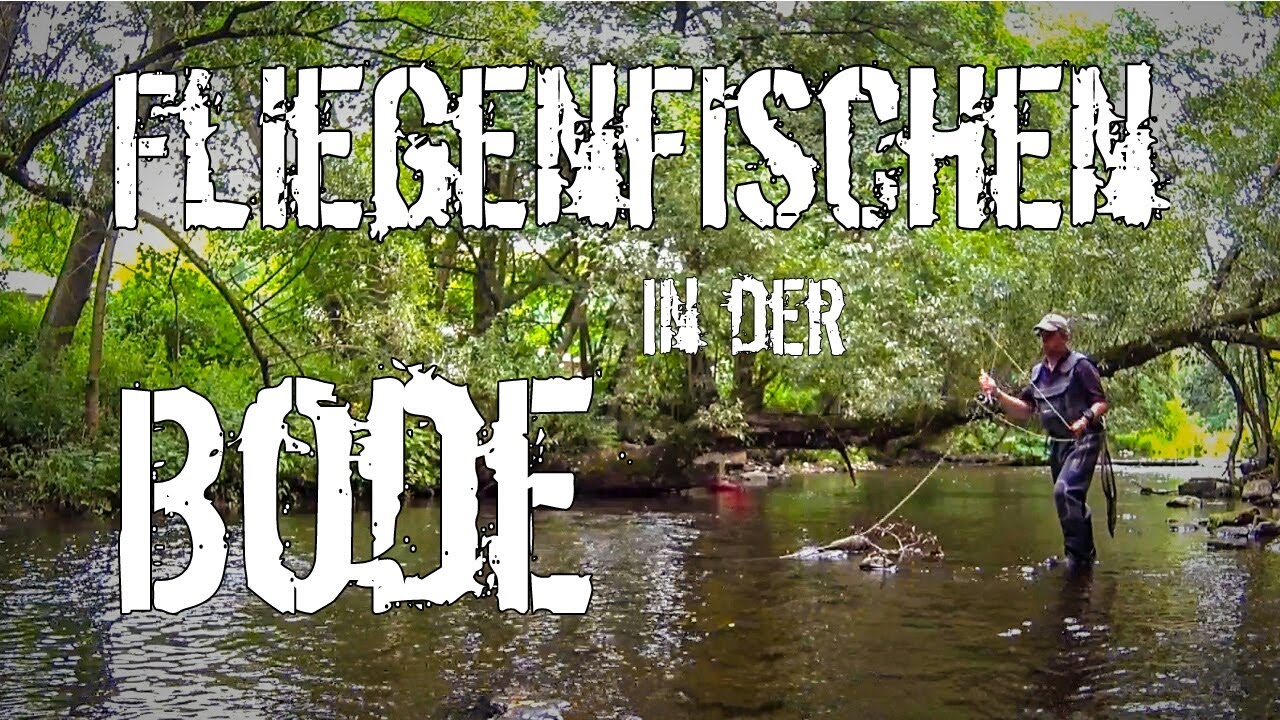 Fliegenfischen in der Bode