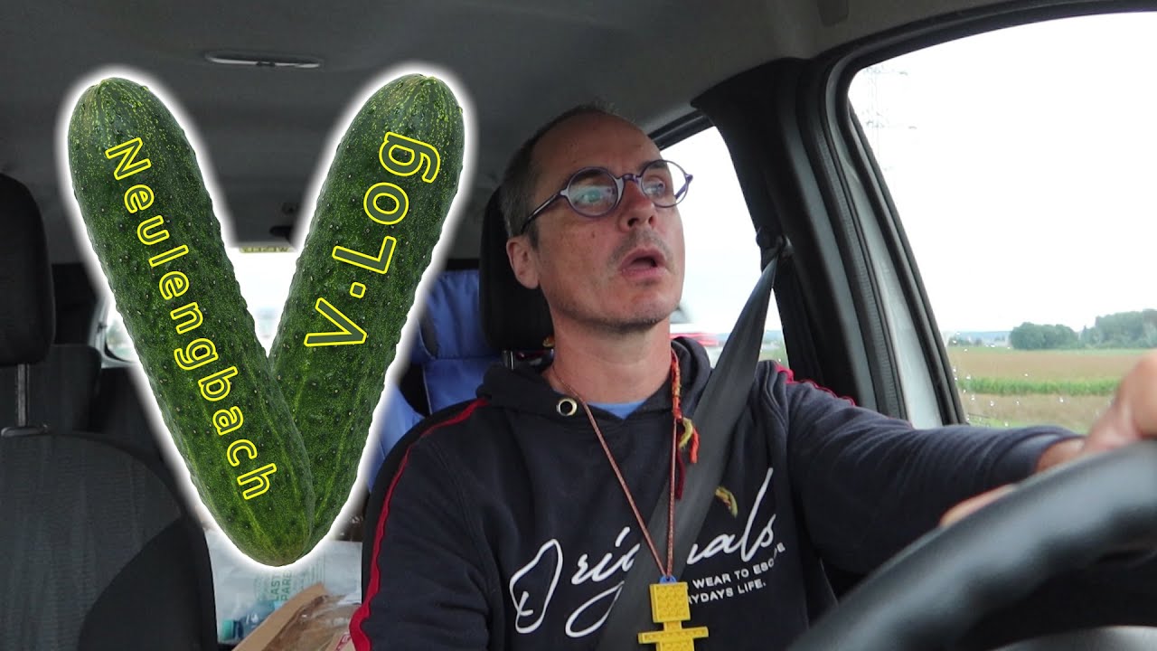 #NeulengbachVLog 2023-09-02 | warum Stadtmenschen arm sind, was sie alles nicht erleben | CV-01267