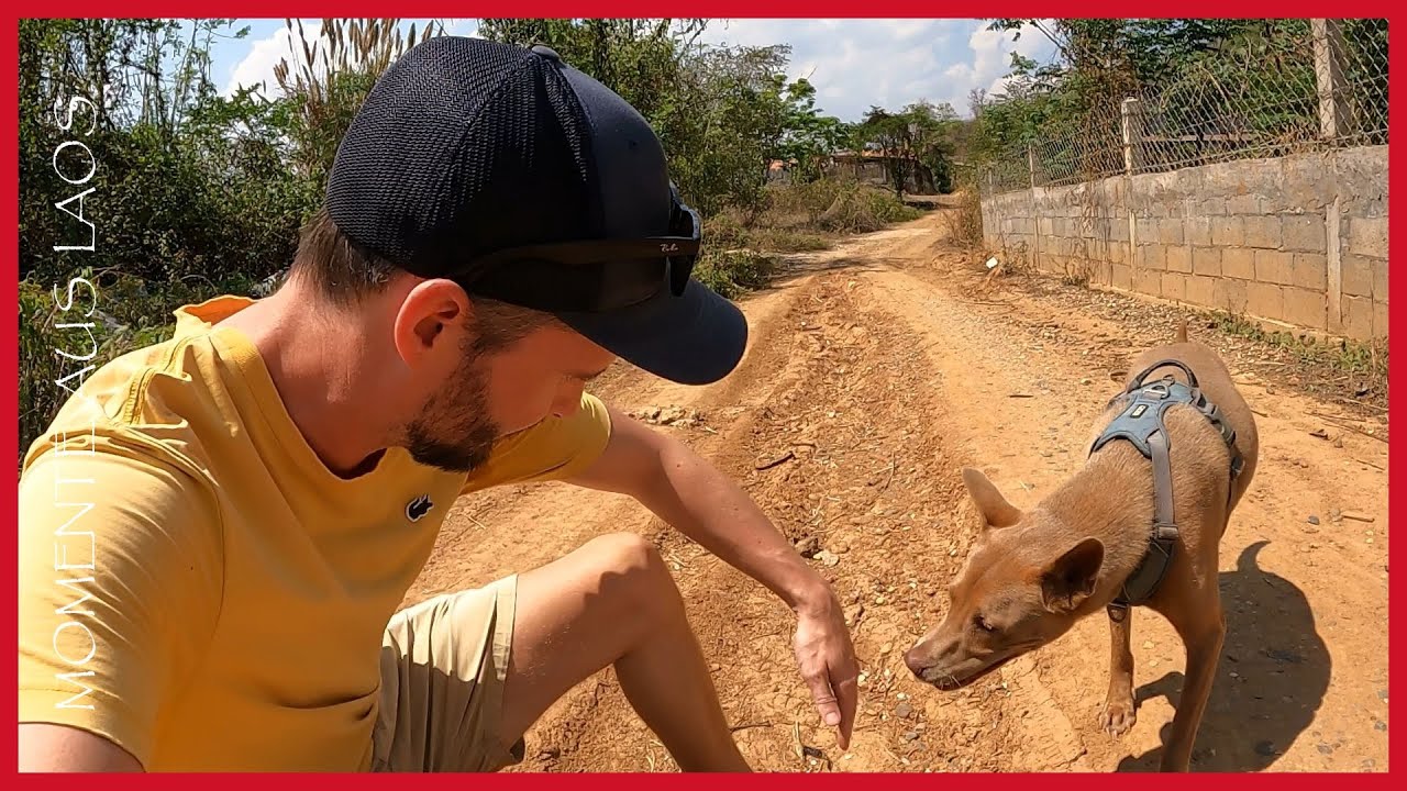 Sandy village roads in Laos – and why they’re so tricky | Moment from: Ban Nok - the loud side