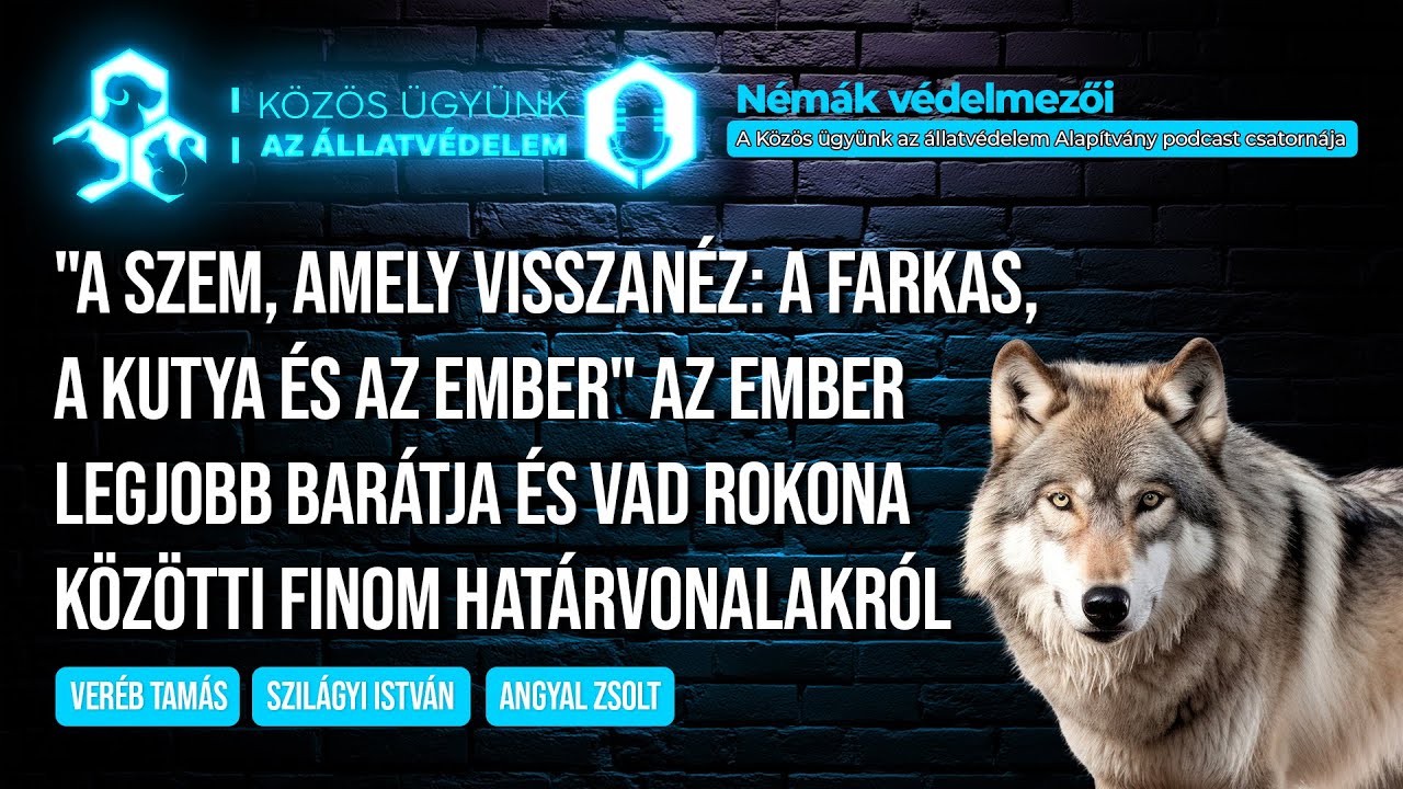 „A szem, amely visszanéz: a farkas, a kutya és az ember
