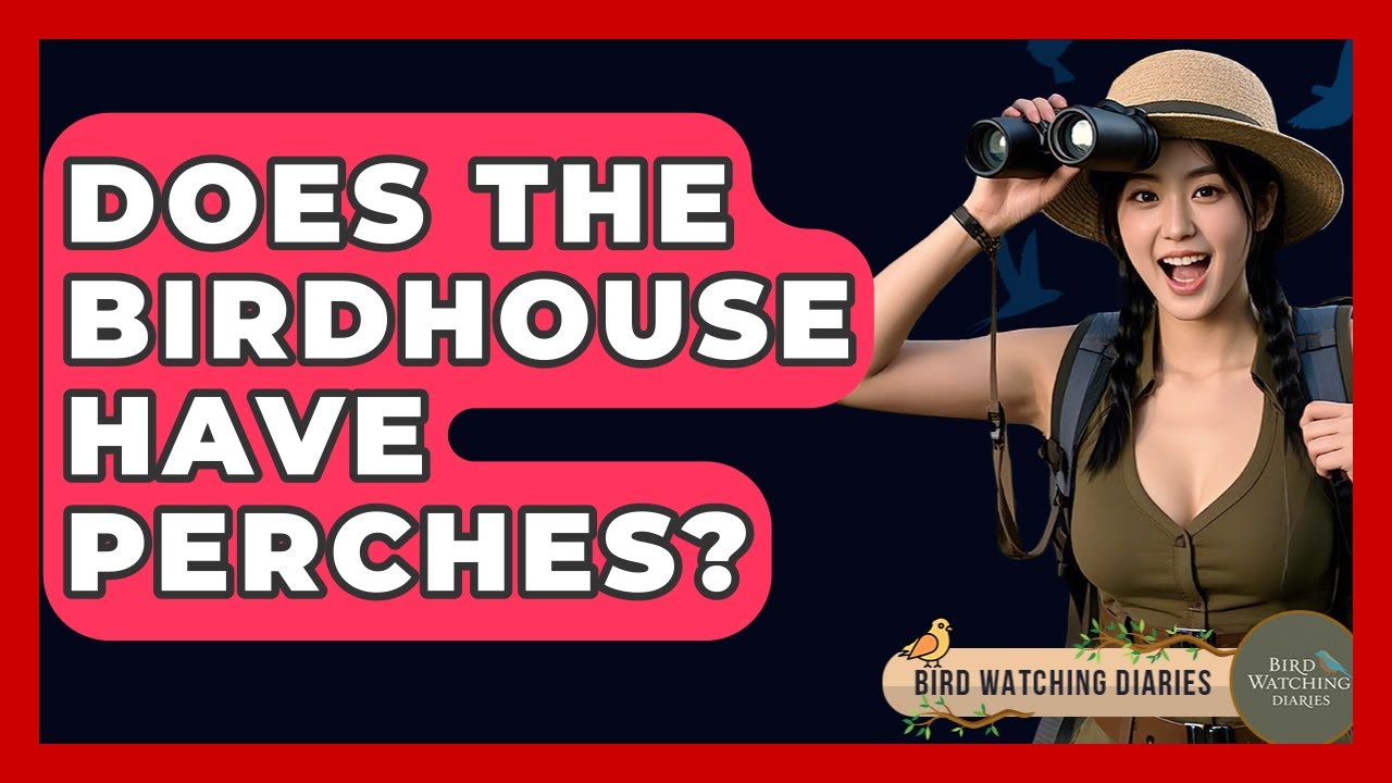 Does The Birdhouse Have Perches? - Bird Watching Diaries