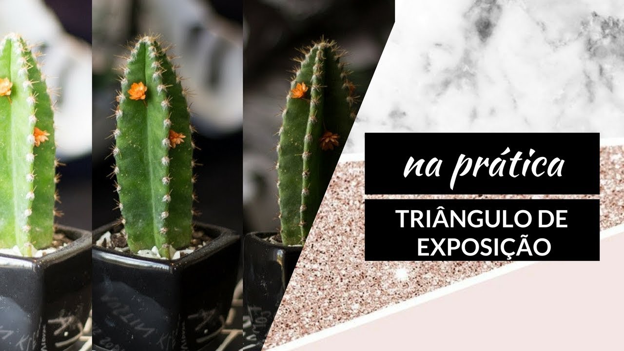 FOTOGRAFIA NA PRÁTICA: TRIÂNGULO DE EXPOSIÇÃO