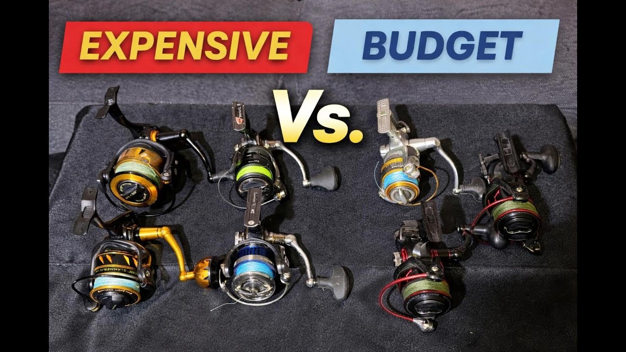 Expensive vs Budget Spinning Reels — What Actually Matters (Honest Review)