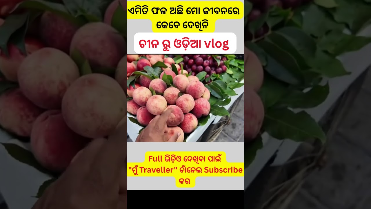 Mun traveller reels Laba Hansda Mun traveller odia new vlog #labahansda #muntraveller #odiareels