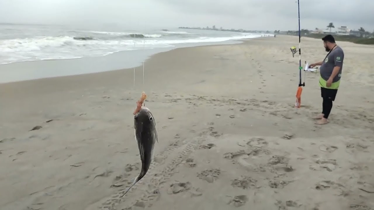 PESCA DE PRAIA - ITAPOÁ - SC | ANDAMOS QUASE 200KM | BAGRE - PAMPO | PRAIA BONITA E ESTRUTURADA