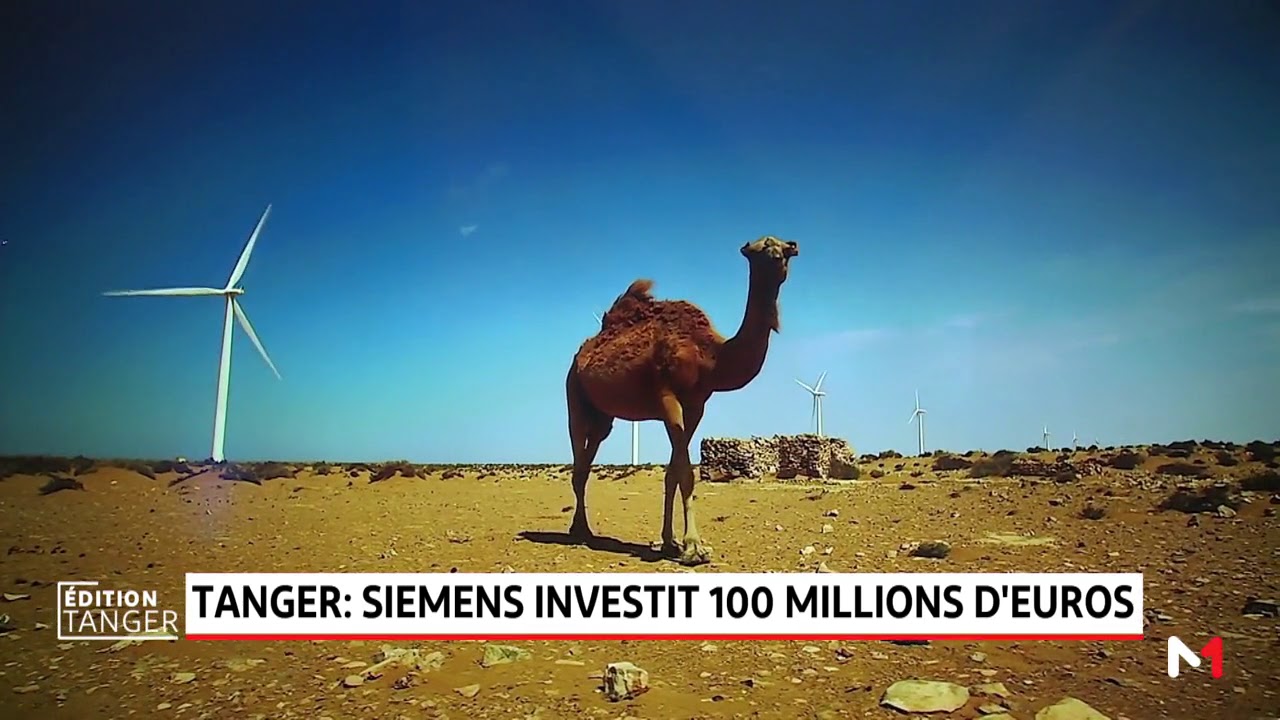 Tanger: Siemens investit 100 millions d'euros