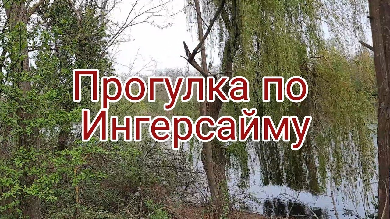 Прогулка по Французским прудам / Ингерсайм / Ingersheim / Эльзас.