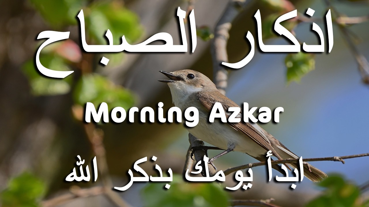 اذكار الصباح بصوت يريح قلبك راحه نفسيه💚حصن نفسك وبيتك من الشيطان علاء عقل Morning adhkar