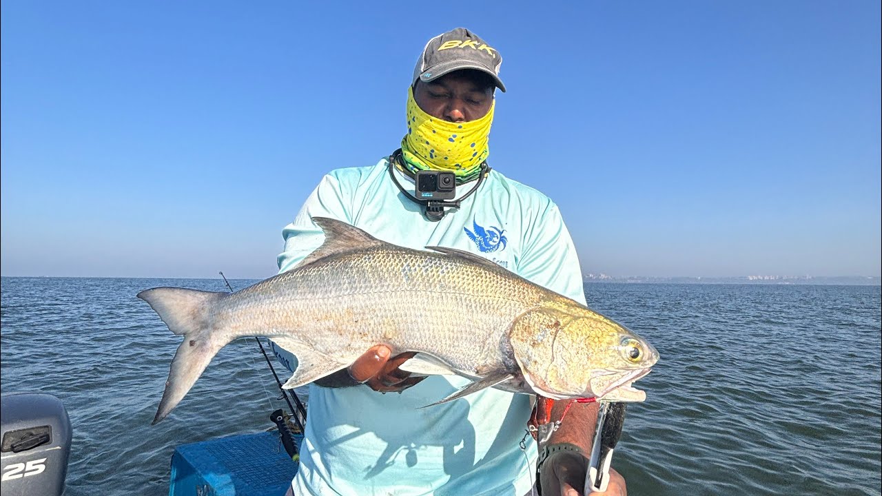 Catching big GT, barracuda and threadfin salmon in Goa/India