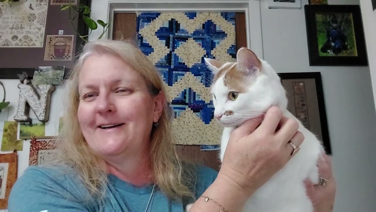 Flights of Fancy #164 weekly update  - lots of pet news and football talk - 11/3/25