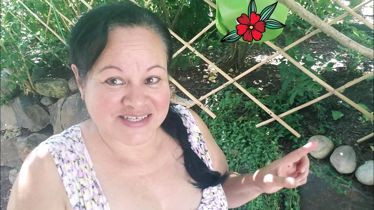 El verdadero abono orgánico, proceso y resultados #Jardín