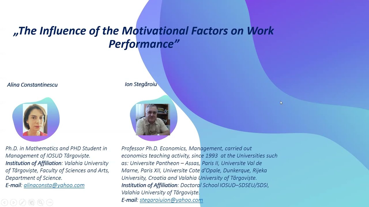 The Influence of the Motivational Factors on Work Performance