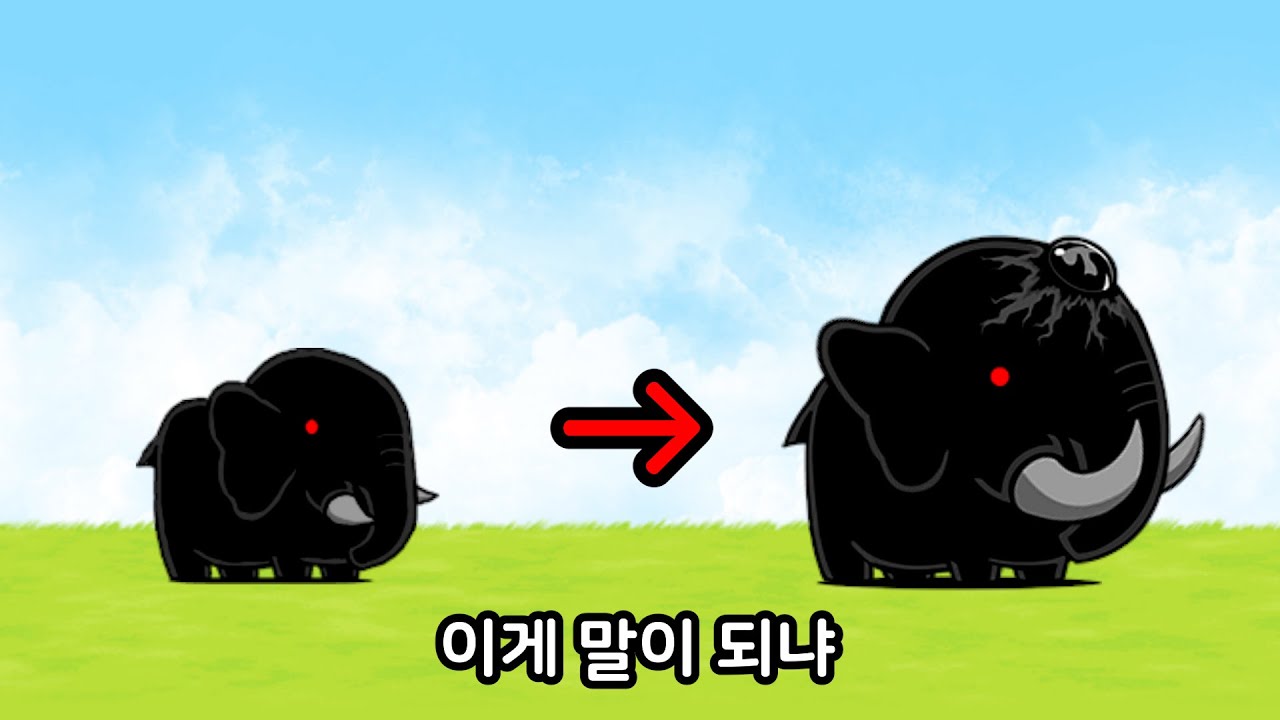 강습에 불만 많은사람 [냥코대전쟁]