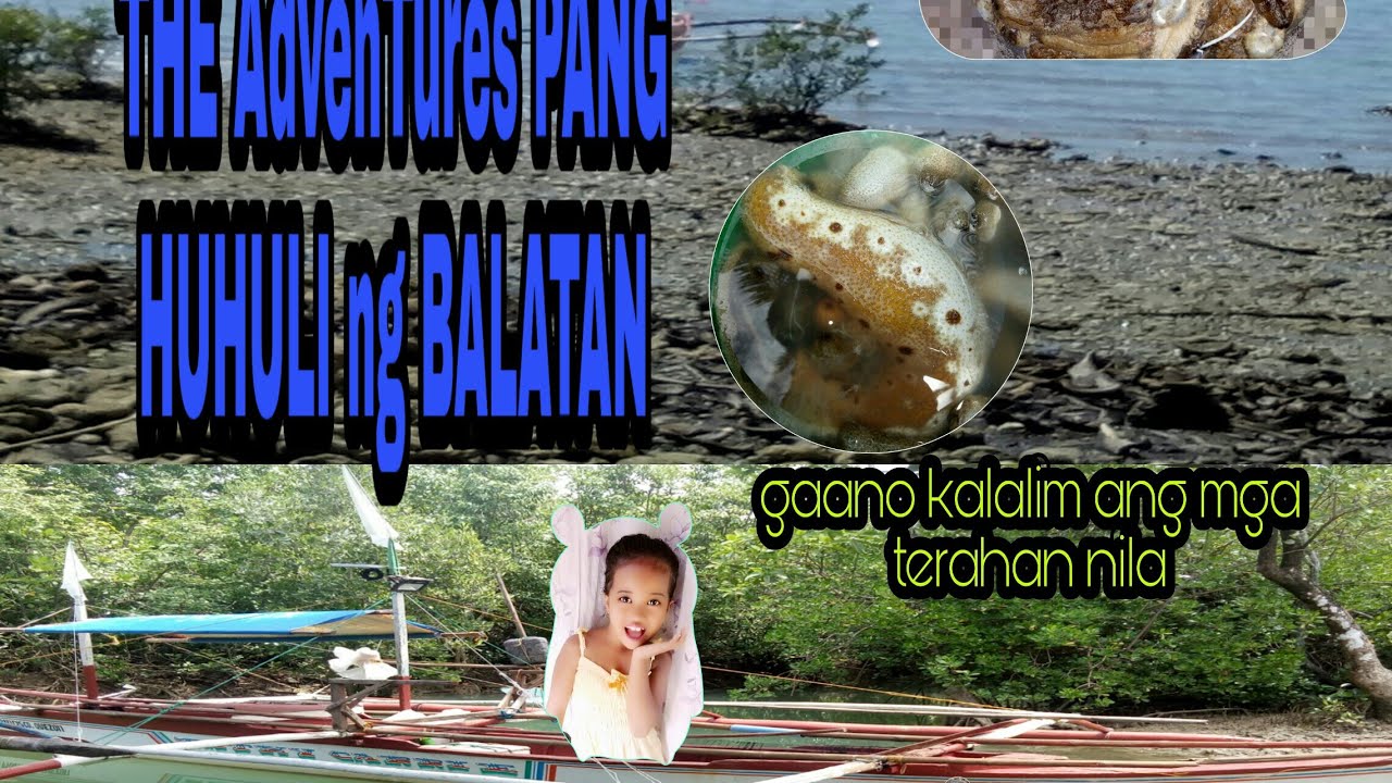 Sea cucumber Adventure part 1