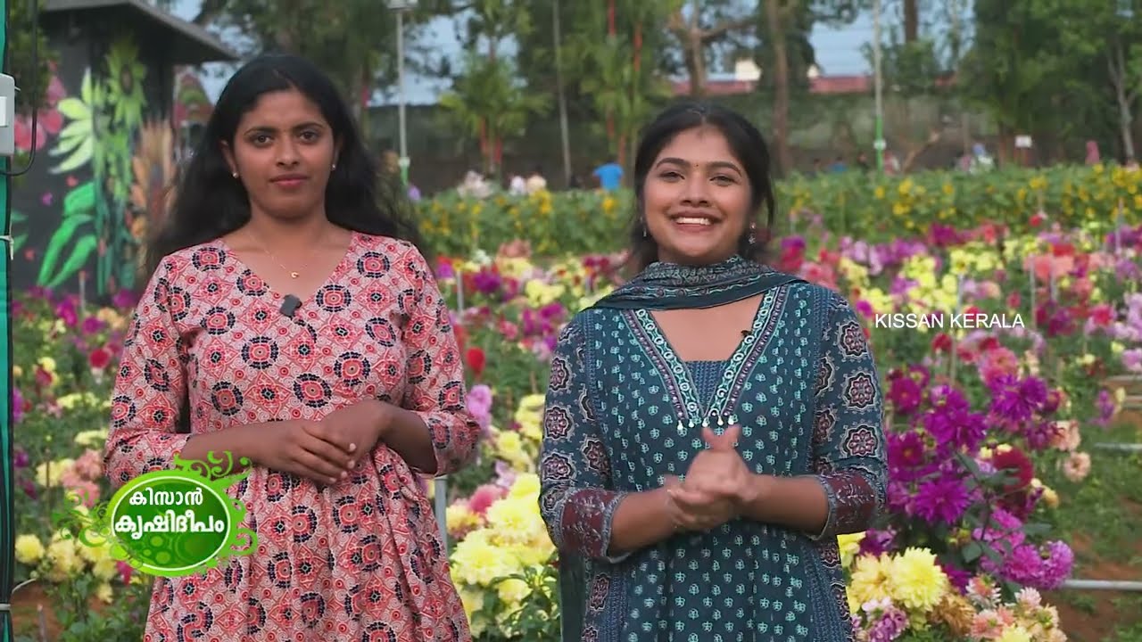 Kissan Krishideepam Episode-1141 Pooppoli - The unmatchable flower festival of Wayanad
