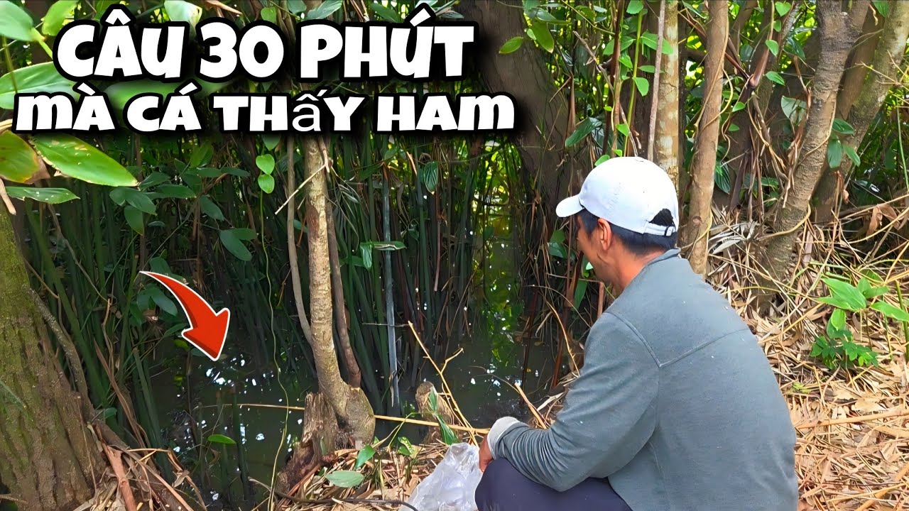 Tập 167 - Câu Cá Rô Đồng Mùa Nước Nổi Gặp Phải Cao Thủ Câu 30 Phút Mà Quá Trời Cá