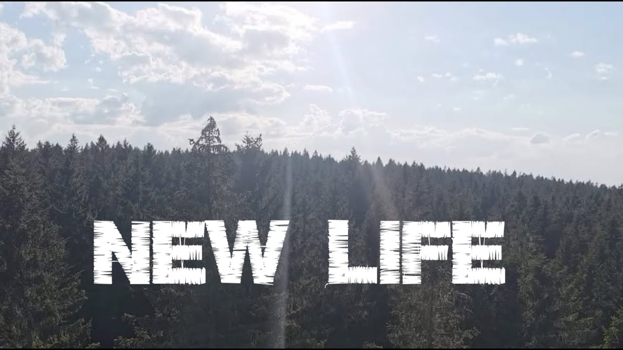 MetalMicha - New Life (Lyrics Video)