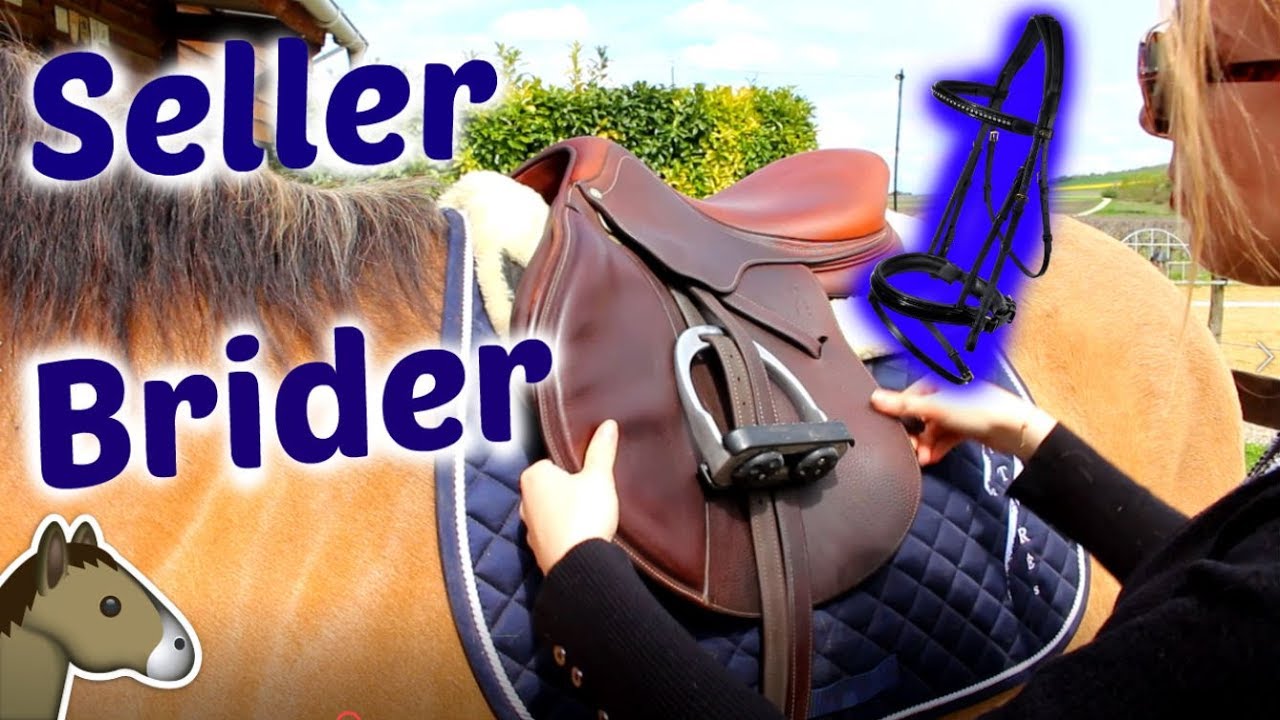 Seller et brider un cheval