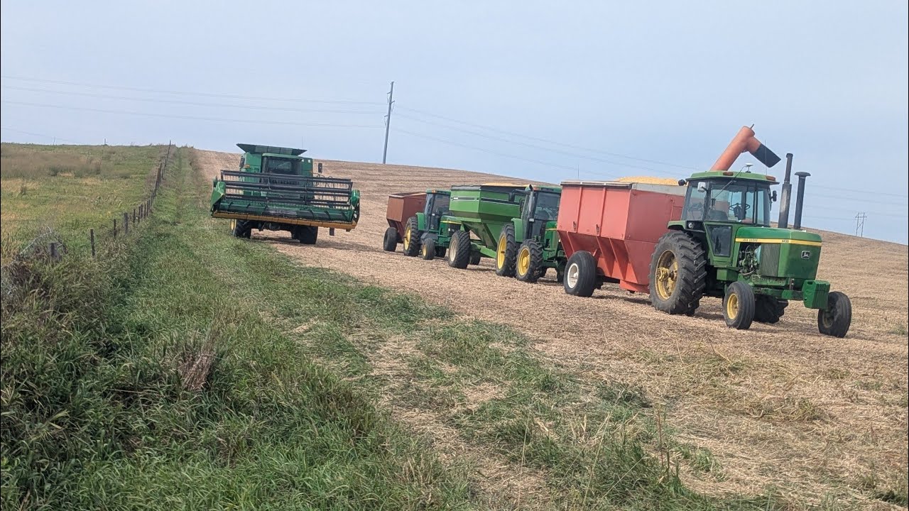 Увидел, как орел гнался за кроликом в поле.