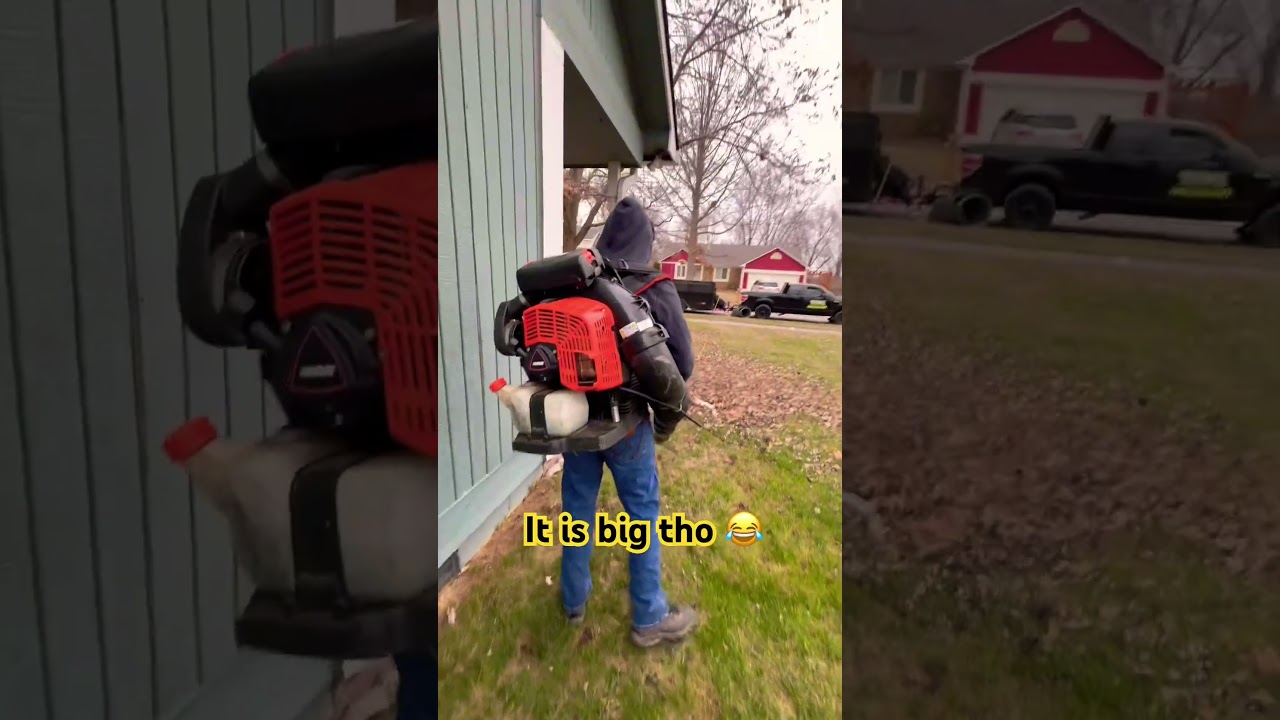 Quick leaf cleanup ✅