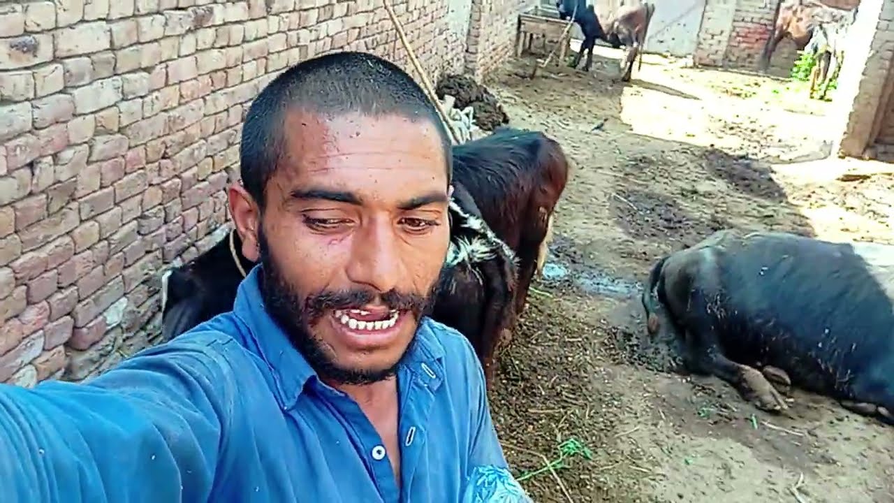 Ham bahut Akele ko karna Pada aur bhai ne Sath Na Diya aur bure fas Gaye 