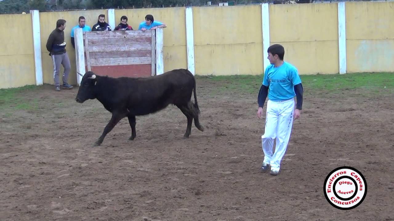 IV Concurso Jóvenes Promesas 