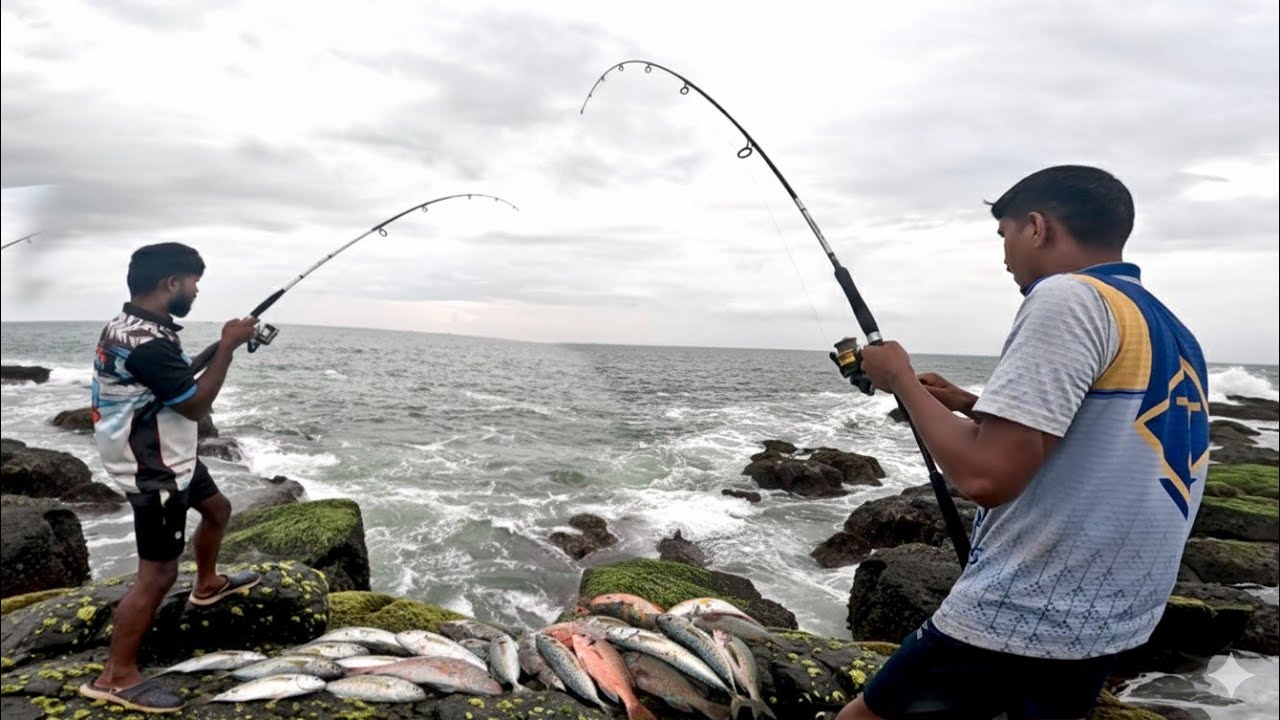 समुद्रकिनारी खडपात गरवून मासेमारी , कोकणातील मासेमारी | Bait fishing from shore 