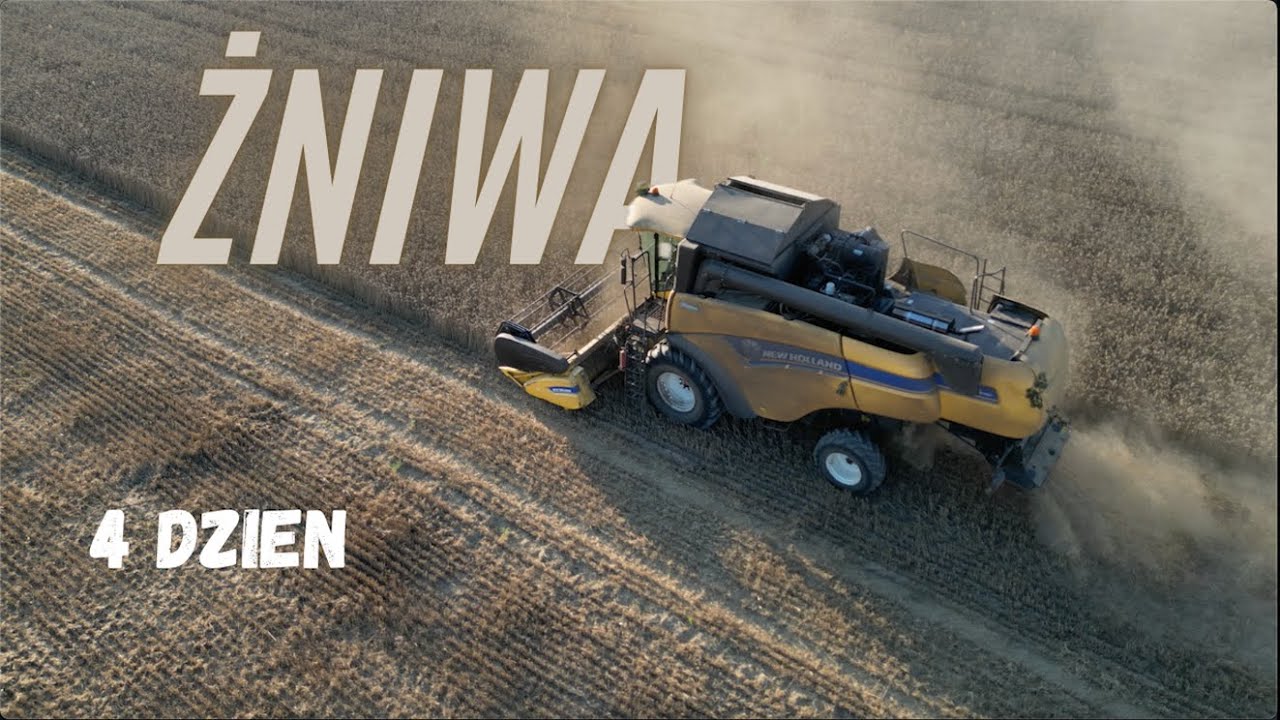 Transport, magazyny i kombajn: Jak wygląda czwarty dzień żniw? [3 siostry vlog] [28.06.2024]