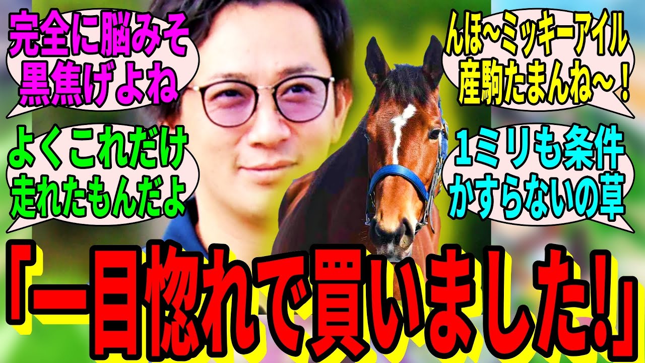 【競馬の反応集】「予算少し超えて走りそうな牝馬買ってきました！」に対する視聴者の反応集