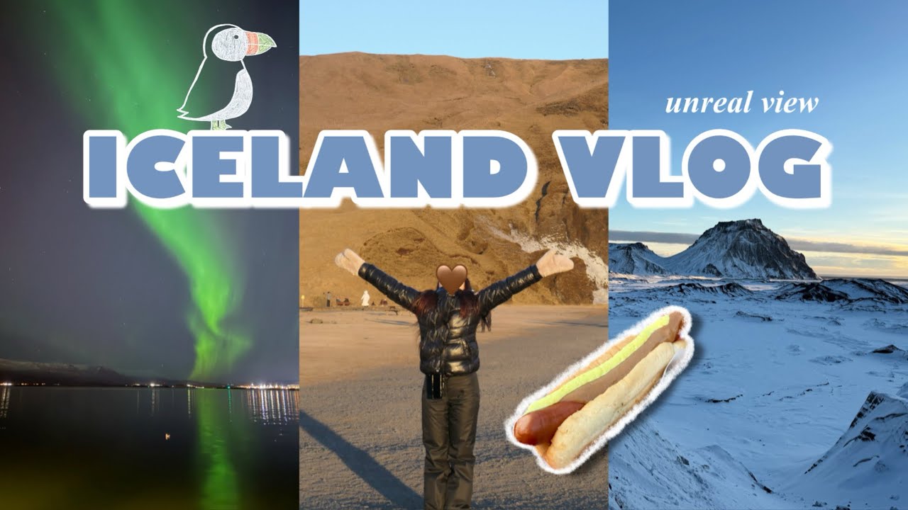 アイスランド vlog 2026❄️念願のオーロラ,氷の洞窟,滝,Reykjavik