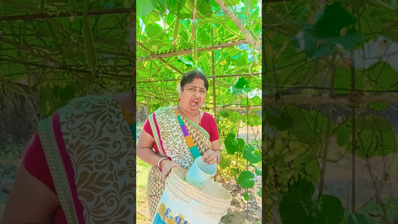 jao gosol kore Asho🤪😆🤣