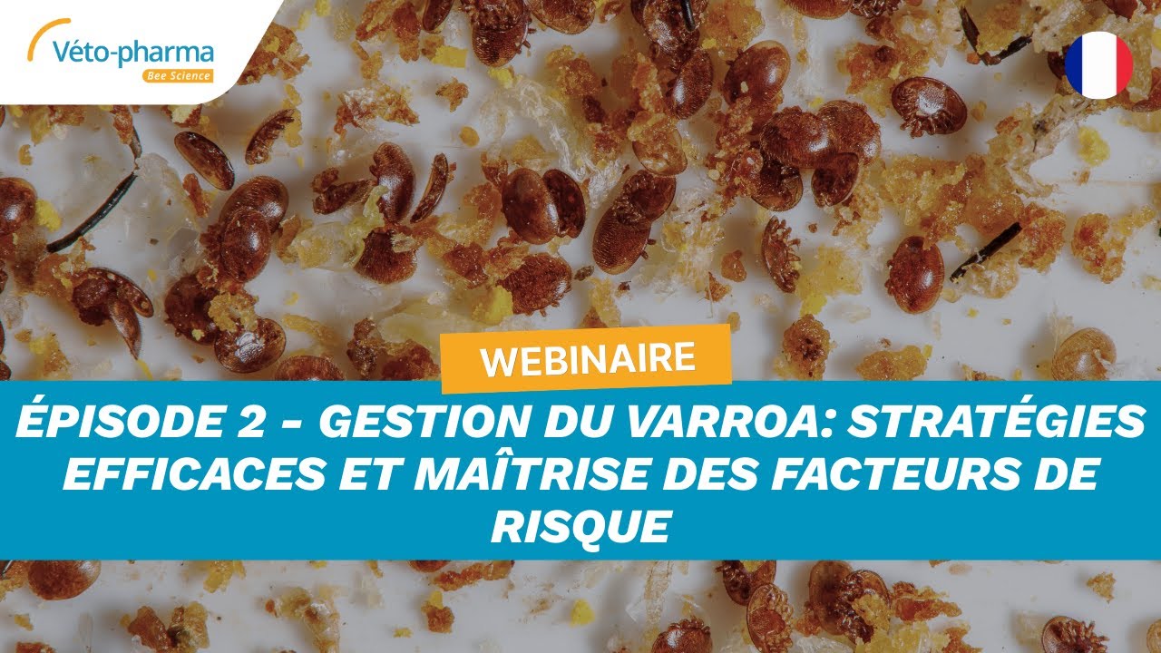Webinaire Épisode 2 - Gestion du varroa: stratégies efficaces et maîtrise des facteurs de risque