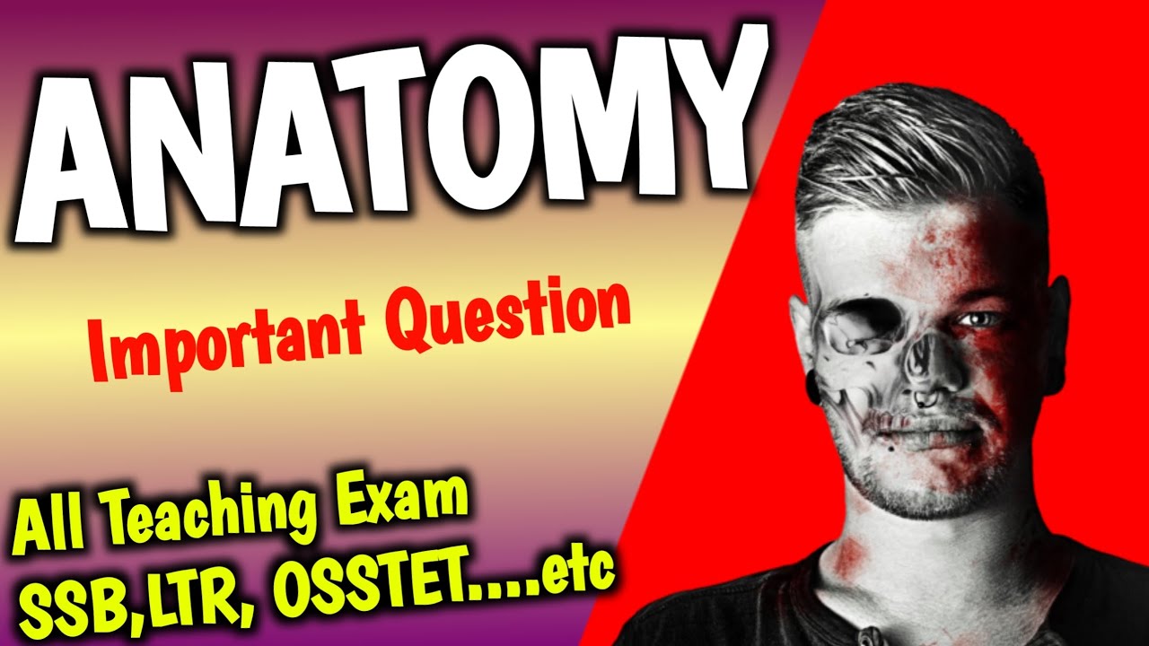 Physical Education Questions  Anatomy Physiology mcq ! PET Mcq for all teaching exam ssb! LTR!Osstet