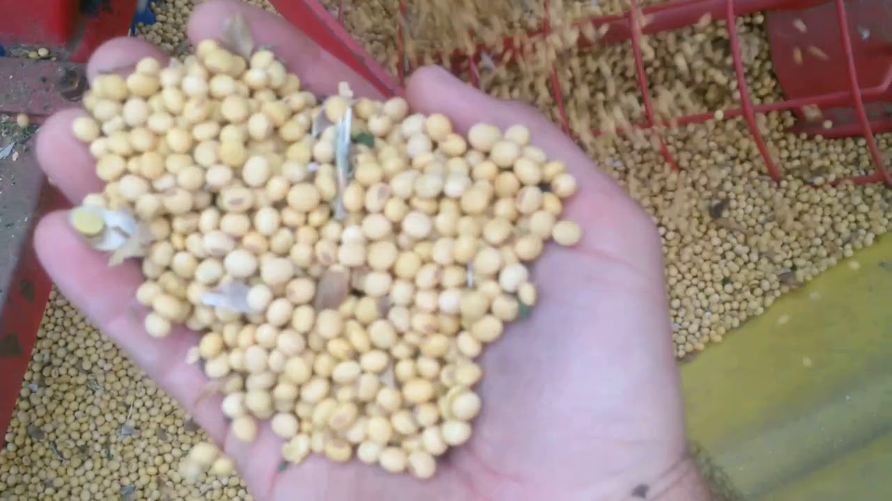 Feterl 85 grain cleaner cleaning fines from soybeans
