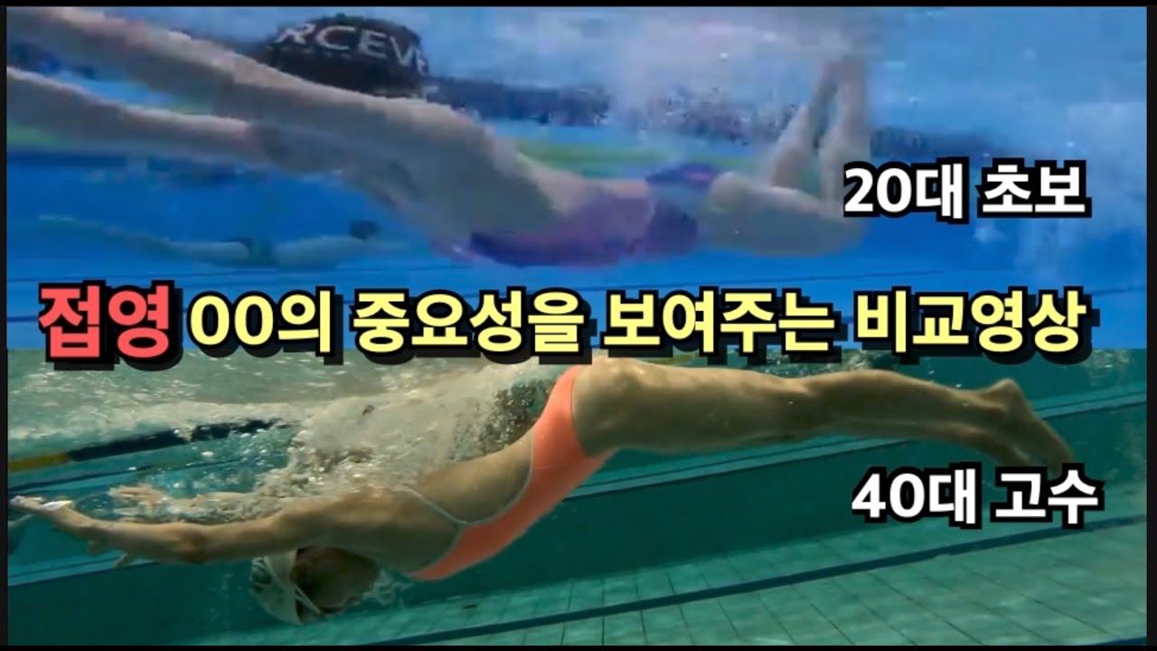 접영 고수와 하수의 차이를 보여주는 영상(접영 피드백)