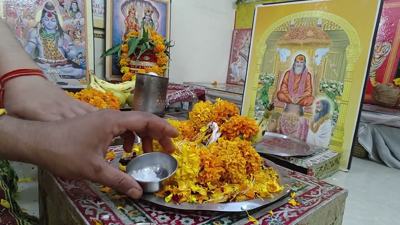 Jupiter planetary yagya 11 pandits part 4