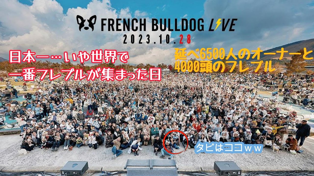 フレブルLIVE2023！潜入編