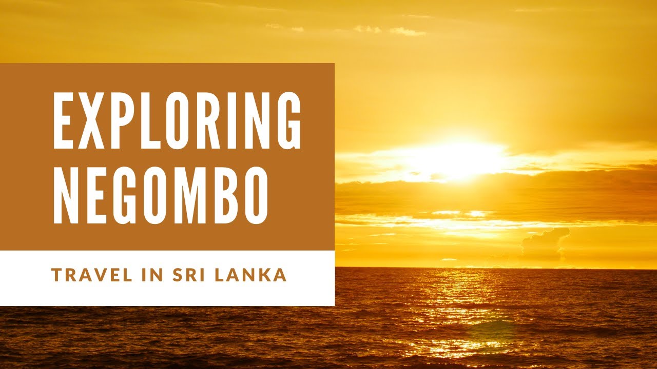 Negombo City Guide | Negombo Attractions | City Tour