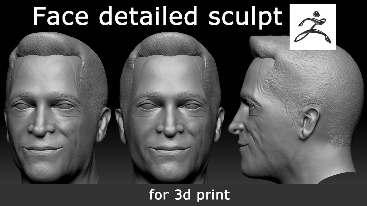 Face detailed 3d sculpt in zbrush