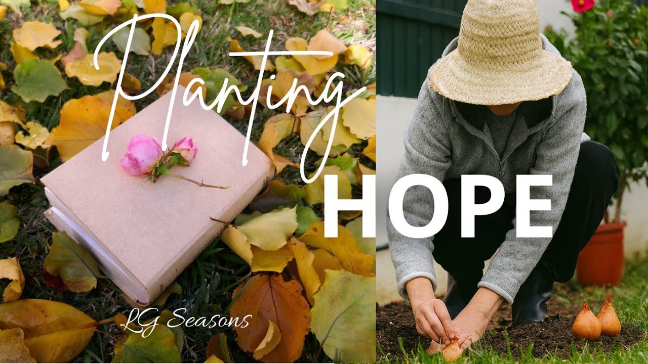 Planting Bulbs in Winter 🌱 Tulips, Daffodils & Hyacinths | Winter Garden Vlog | 4K