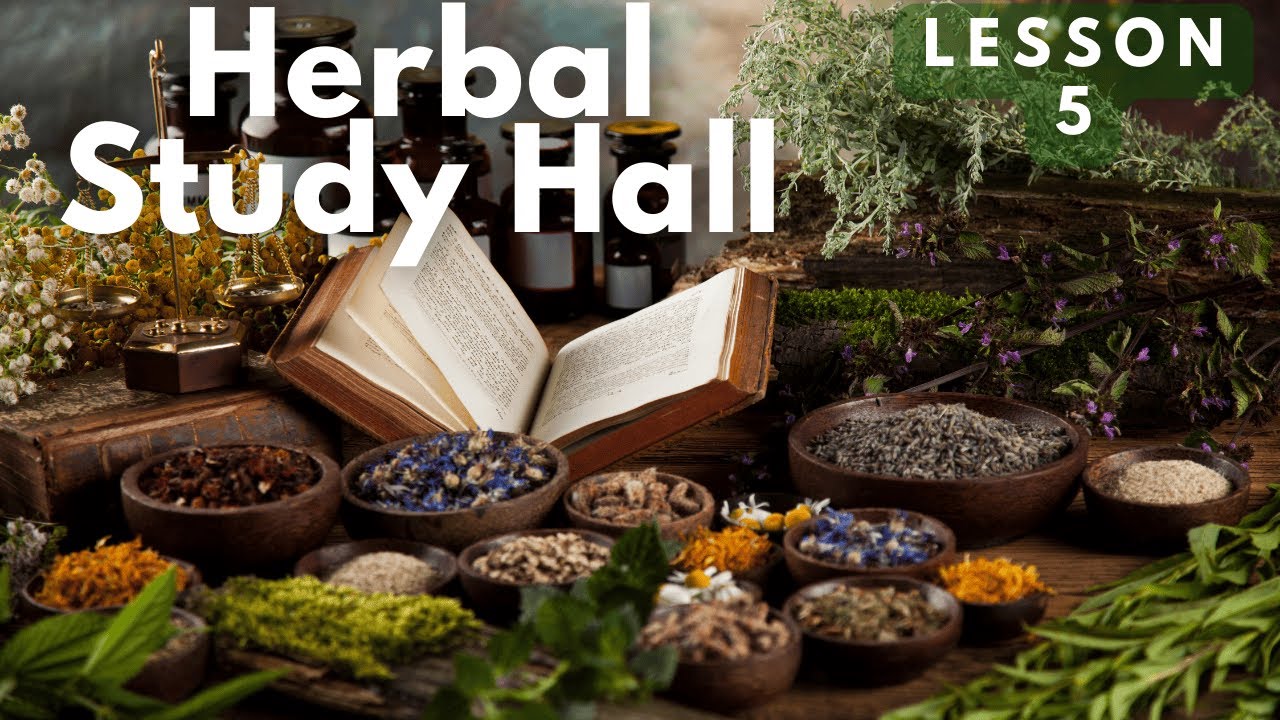 RELAXING HERBS: More Than You Might Expect & LEMON BALM Herb of the Week #HerbalStudyHall Lesson 5