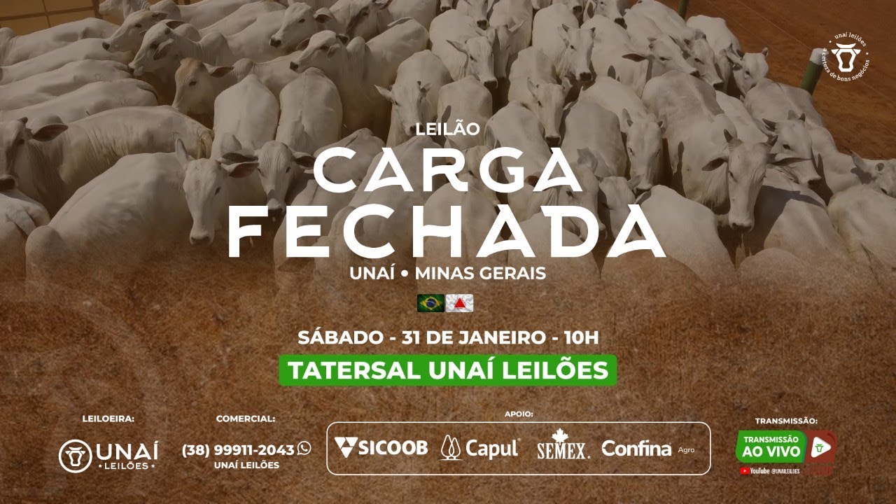 LEILÃO CARGA FECHADA DA UNAÍ LEILÕES -31-01-2026
