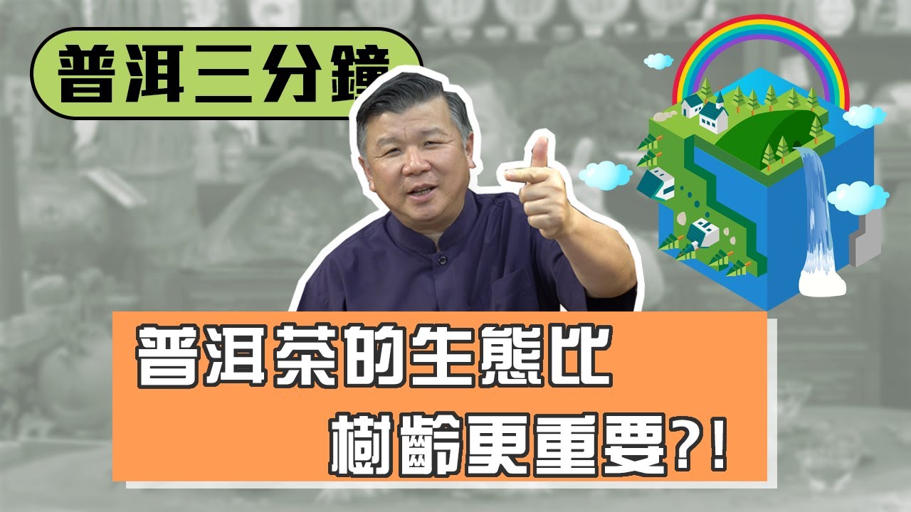 【普洱三分鐘】難度 : 入門 / 比茶樹樹齡更重要的東西?!