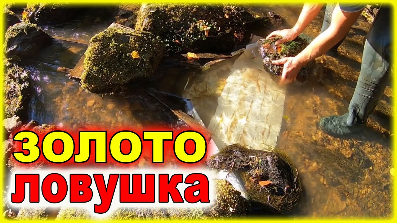 Самодельная ЛОВУШКА для ЗОЛОТА на дне реки